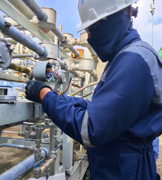 Verificación y mantenimiento de switches con precisión técnica